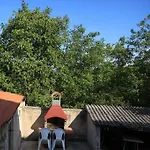 Radovan Poreč